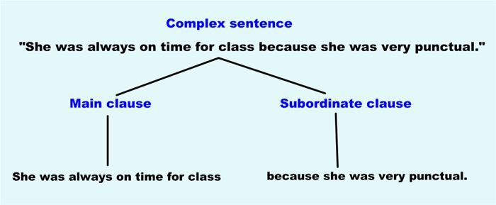 A complex sentence is made up of a main clause and at least one subordinate clause. For example, 'She was always on time because she was very punctual. ('because' joins the subordinate clause to the main clause.)